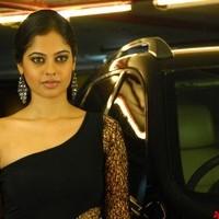 Bindhu Madhavi Hot Photo Shoot Pictures | Picture 93546